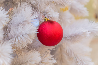 Similar image 21254077