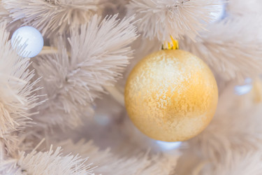 Similar image 21254078