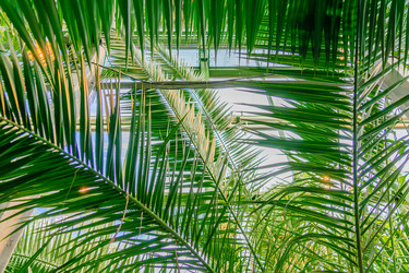 Similar image 21254602