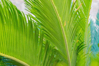 Similar image 21254810