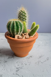 Similar image 21254814