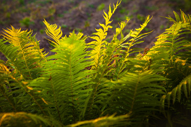 Similar image 21249510