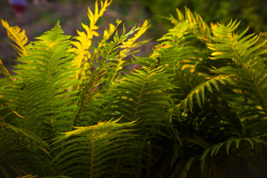 Similar image 21249512