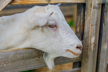 Similar image 21254082