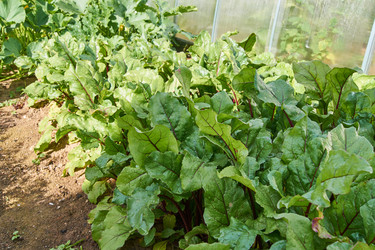 Similar image 21254083