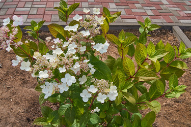 Similar image 21254085