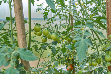 Similar image 21254828