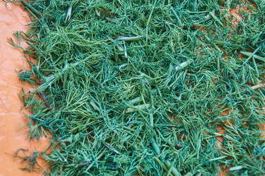 Similar image 21254830