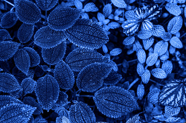 Similar image 21255147