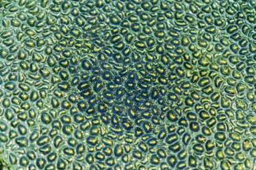 Similar image 21257059