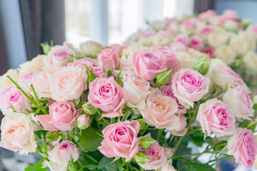 Similar image 21257142