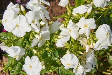 Similar image 21257547