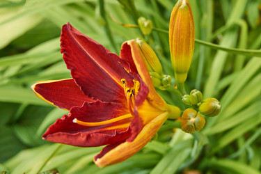 Similar image 21257986