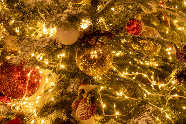 Similar image 21257148