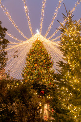 Similar image 21257151