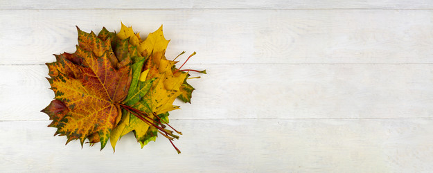 Similar image 21257552