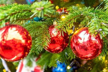 Similar image 21254115