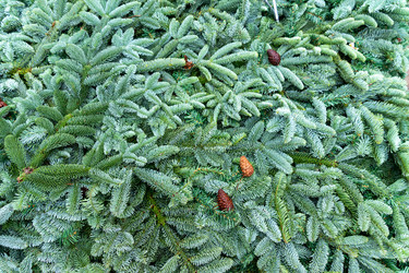 Similar image 21254117