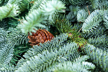 Similar image 21254441