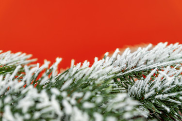 Similar image 21254848