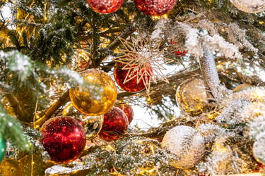 Similar image 21254853