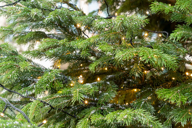 Similar image 21255911