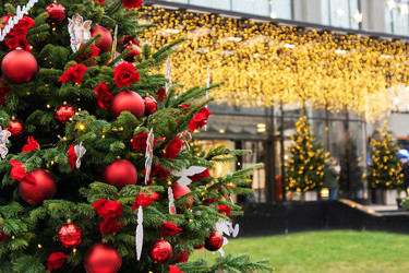 Similar image 21257556