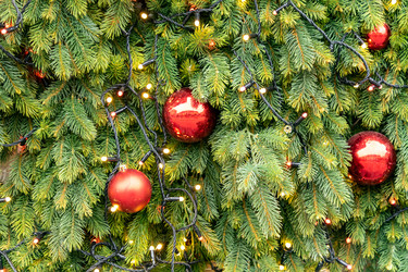 Similar image 21257557