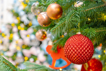 Similar image 21257996