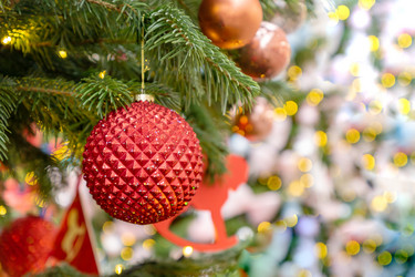 Similar image 21257998