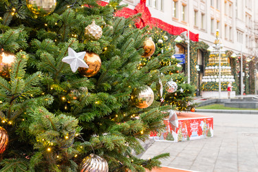 Similar image 21258065