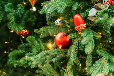 Similar image 21258083