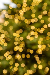 Similar image 21254122