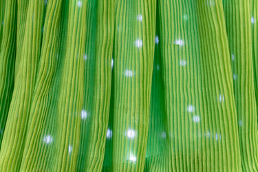 Similar image 21254124