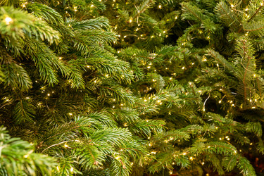 Similar image 21254128