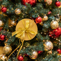 Similar image 21254132