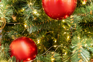 Similar image 21254143