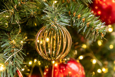 Similar image 21254145