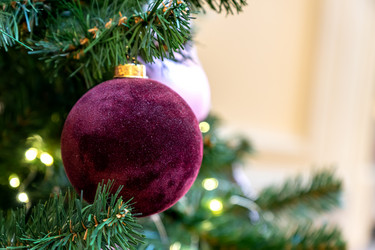 Similar image 21254147