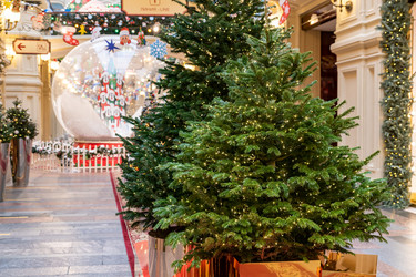 Similar image 21254443