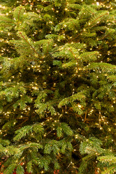 Similar image 21254625