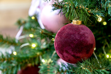 Similar image 21255158