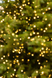 Similar image 21255549