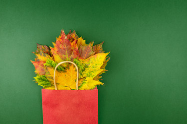 Similar image 21257560