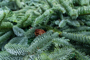 Similar image 21257563