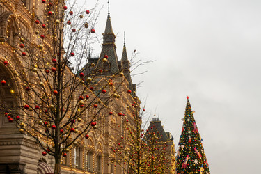 Similar image 21258009