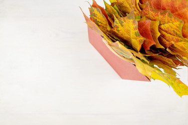 Similar image 21254150