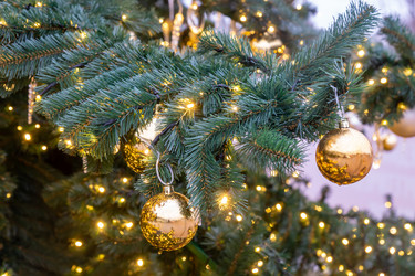 Similar image 21254152