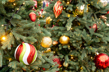 Similar image 21254632