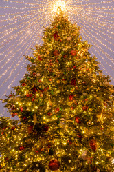 Similar image 21255161